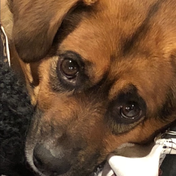 Meet your Posher, Andrea - Picture 1 of 1